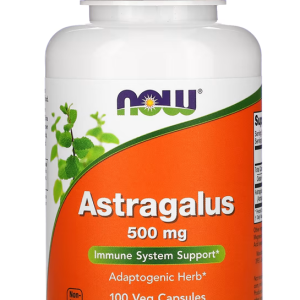 Astragalus 500 mg 100 Veg Capsules